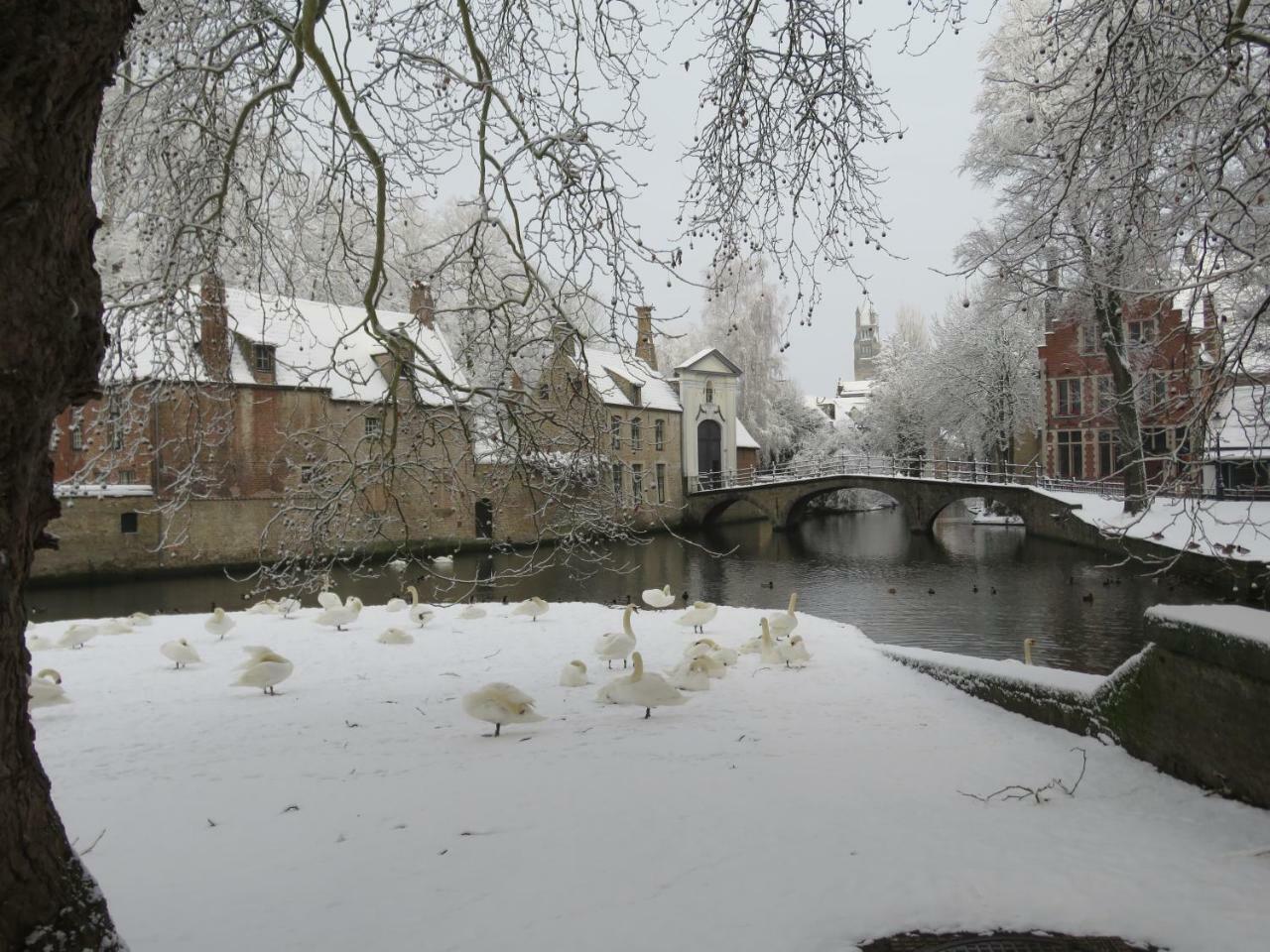 Bonnie Apartment Bruges Exterior foto